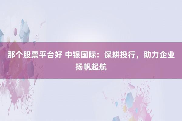 那个股票平台好 中银国际：深耕投行，助力企业扬帆起航