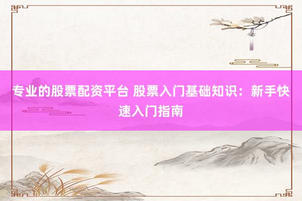 专业的股票配资平台 股票入门基础知识：新手快速入门指南