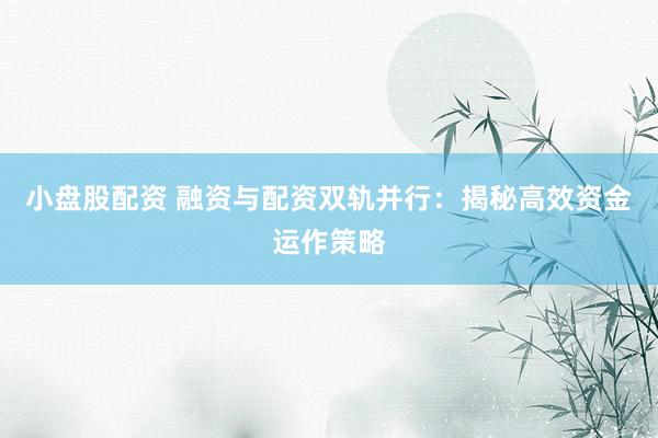 小盘股配资 融资与配资双轨并行：揭秘高效资金运作策略