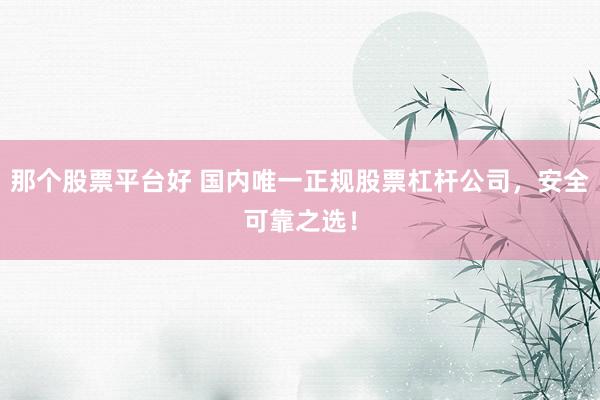 那个股票平台好 国内唯一正规股票杠杆公司，安全可靠之选！