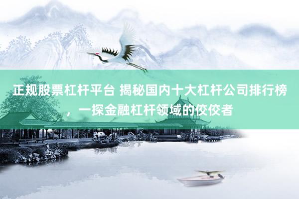 正规股票杠杆平台 揭秘国内十大杠杆公司排行榜，一探金融杠杆领域的佼佼者