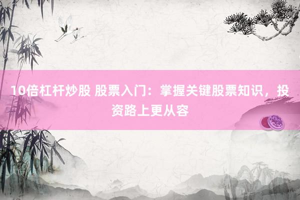 10倍杠杆炒股 股票入门：掌握关键股票知识，投资路上更从容