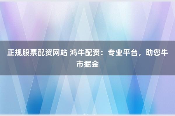 正规股票配资网站 鸿牛配资：专业平台，助您牛市掘金