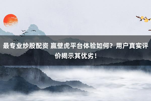 最专业炒股配资 赢壁虎平台体验如何？用户真实评价揭示其优劣！