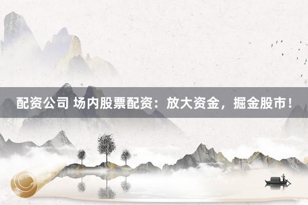 配资公司 场内股票配资：放大资金，掘金股市！