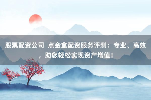 股票配资公司  点金盒配资服务评测：专业、高效，助您轻松实现资产增值！