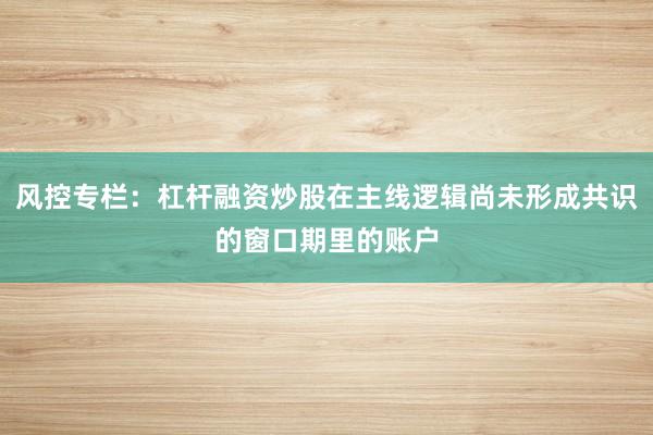 风控专栏：杠杆融资炒股在主线逻辑尚未形成共识的窗口期里的账户